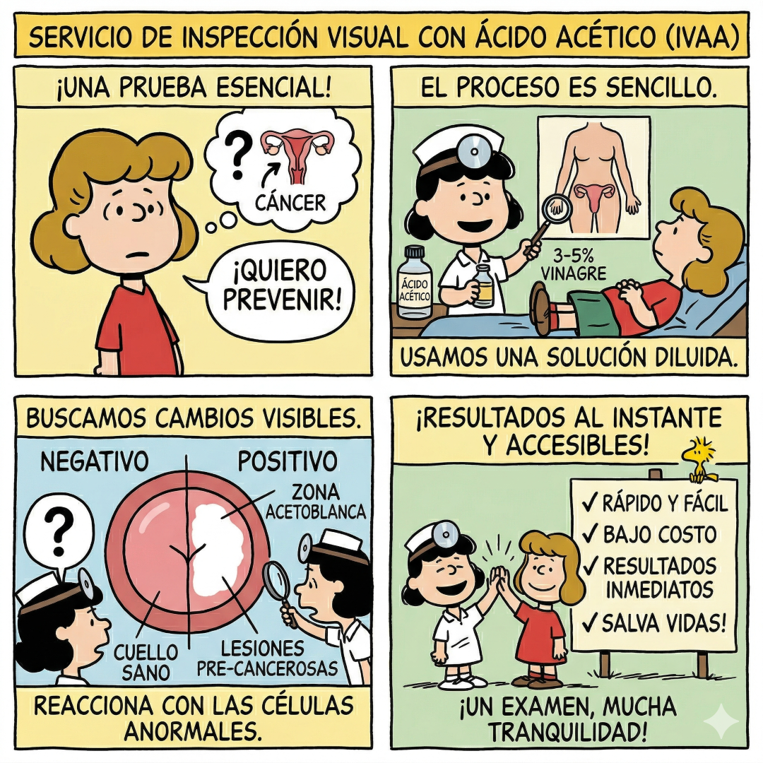 Explicación IVAA